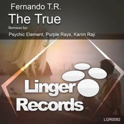 The True (Karim Raji Remix)